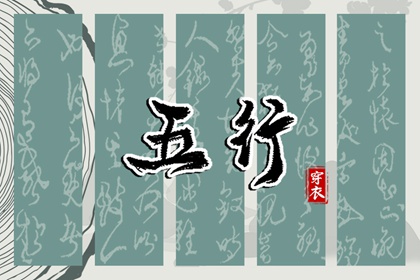八字参数解读 排盘问真 命测八字 华易六爻排盘 算命运运势